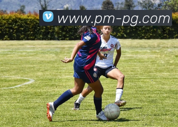 pg电子服务体系